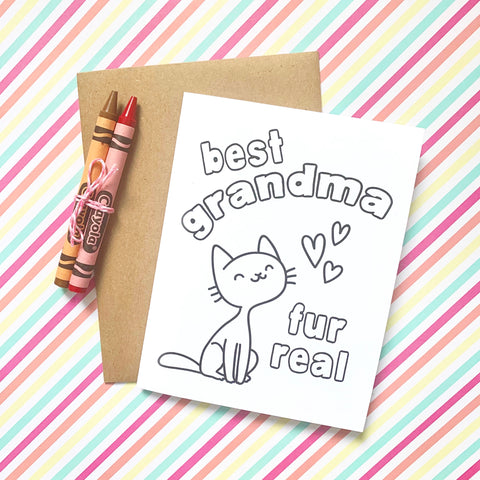 Fur Real DIY Mini Card - Splendid Greetings