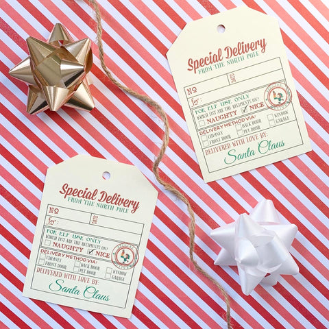 Special Delivery Tag Set - Splendid Greetings